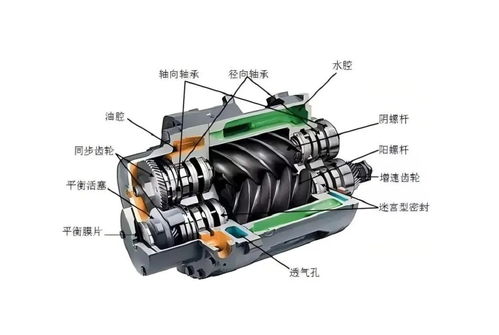 白宝书影视天堂V.2026.02.15.3707截图4